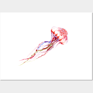 Jellyfish Posters and Art